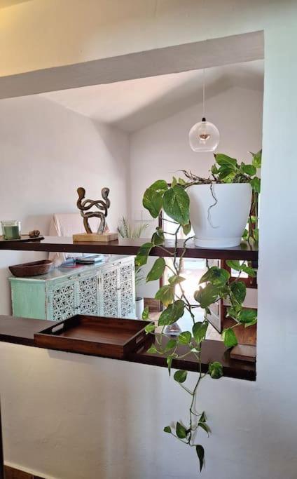 GuatizaCocorelax 2 Otro Lugar De Relax En Lanzaroteアパートメント エクステリア 写真